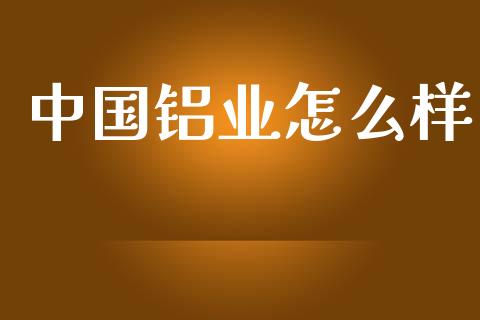 中国铝业怎么样_https://wap.yjjixie.cn_保险理财_第1张