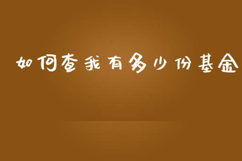 如何查我有多少份基金_https://wap.yjjixie.cn_港股行情_第1张