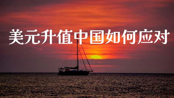 美元升值中国如何应对_https://wap.yjjixie.cn_商业资讯_第1张