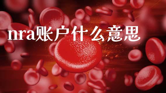 nra账户什么意思_https://wap.yjjixie.cn_保险理财_第1张