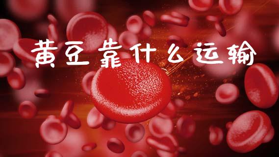 黄豆靠什么运输_https://wap.yjjixie.cn_证券市场_第1张
