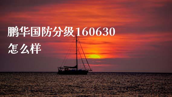 鹏华国防分级160630怎么样_https://wap.yjjixie.cn_保险理财_第1张