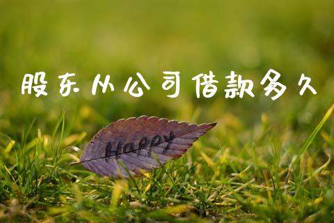 股东从公司借款多久_https://wap.yjjixie.cn_保险理财_第1张