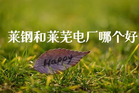 莱钢和莱芜电厂哪个好_https://wap.yjjixie.cn_商业资讯_第1张