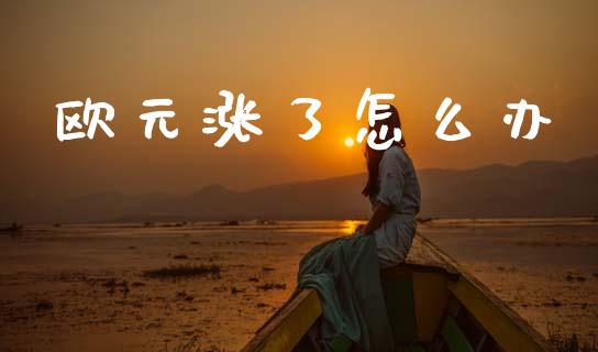 欧元涨了怎么办_https://wap.yjjixie.cn_保险理财_第1张