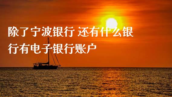 除了宁波银行 还有什么银行有电子银行账户_https://wap.yjjixie.cn_商业资讯_第1张