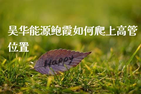 昊华能源鲍霞如何爬上高管位置_https://wap.yjjixie.cn_证券市场_第1张