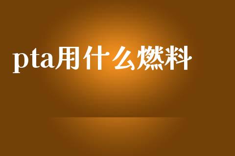 pta用什么燃料_https://wap.yjjixie.cn_保险理财_第1张