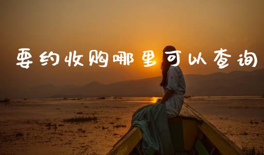 要约收购哪里可以查询_https://wap.yjjixie.cn_商业资讯_第1张