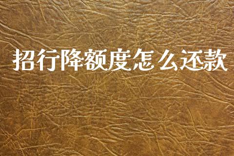 招行降额度怎么还款_https://wap.yjjixie.cn_商业资讯_第1张