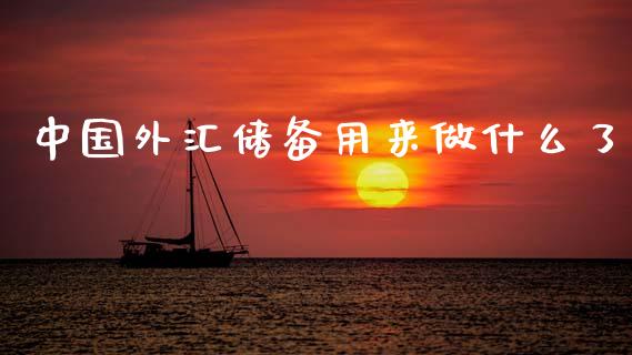 中国外汇储备用来做什么了_https://wap.yjjixie.cn_港股行情_第1张