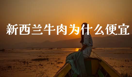 新西兰牛肉为什么便宜_https://wap.yjjixie.cn_证券市场_第1张