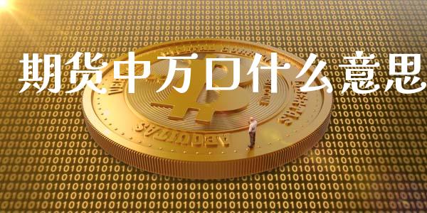 期货中万口什么意思_https://wap.yjjixie.cn_港股行情_第1张