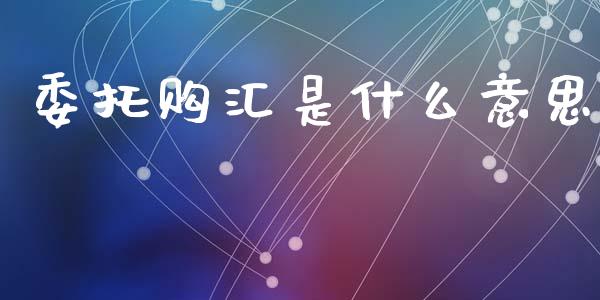 委托购汇是什么意思_https://wap.yjjixie.cn_证券市场_第1张