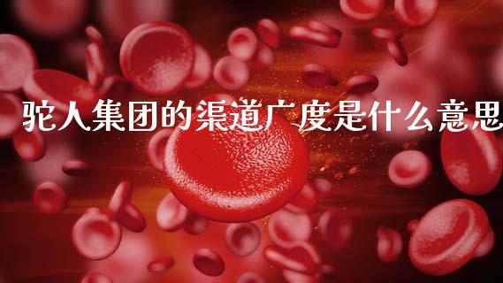 驼人集团的渠道广度是什么意思_https://wap.yjjixie.cn_保险理财_第1张