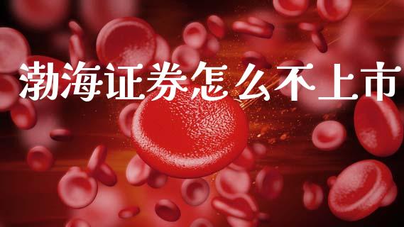 渤海证券怎么不上市_https://wap.yjjixie.cn_证券市场_第1张