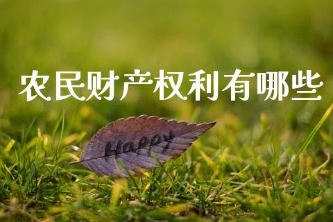 农民财产权利有哪些_https://wap.yjjixie.cn_商业资讯_第1张
