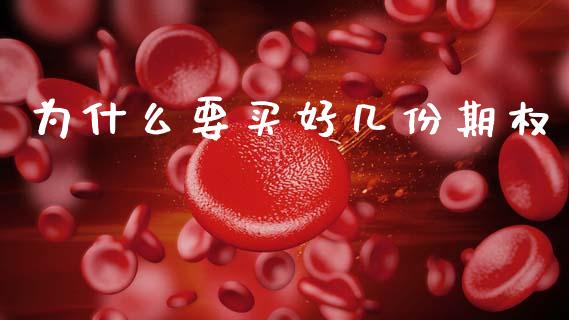 为什么要买好几份期权_https://wap.yjjixie.cn_证券市场_第1张