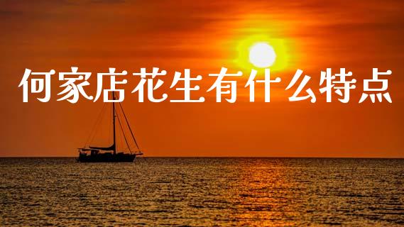 何家店花生有什么特点_https://wap.yjjixie.cn_证券市场_第1张