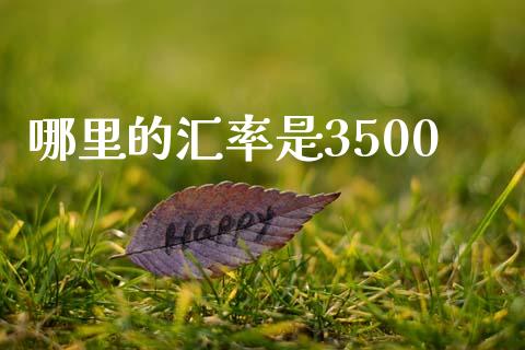 哪里的汇率是3500_https://wap.yjjixie.cn_证券市场_第1张