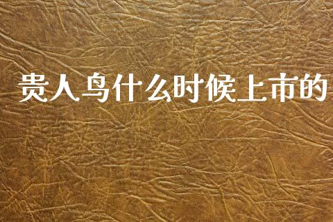 贵人鸟什么时候上市的_https://wap.yjjixie.cn_证券市场_第1张