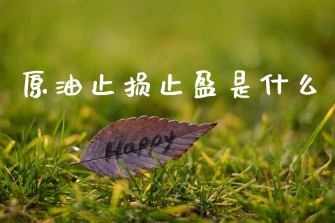 原油止损止盈是什么_https://wap.yjjixie.cn_保险理财_第1张