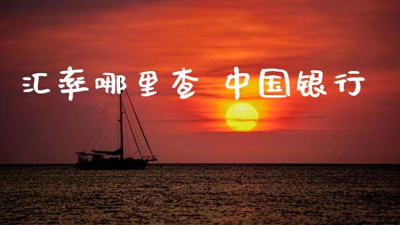 汇率哪里查 中国银行_https://wap.yjjixie.cn_保险理财_第1张