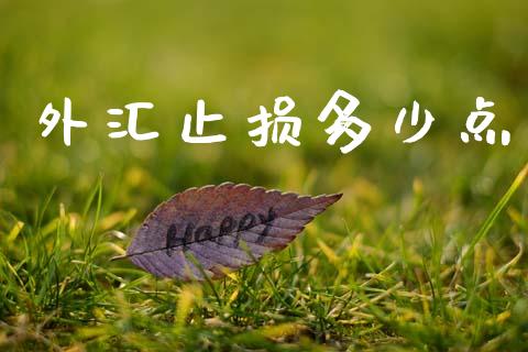 外汇止损多少点_https://wap.yjjixie.cn_商业资讯_第1张