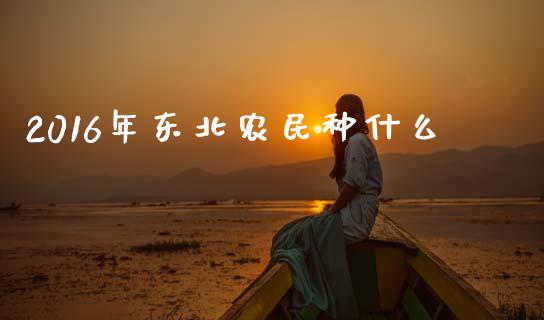 2016年东北农民种什么_https://wap.yjjixie.cn_商业资讯_第1张