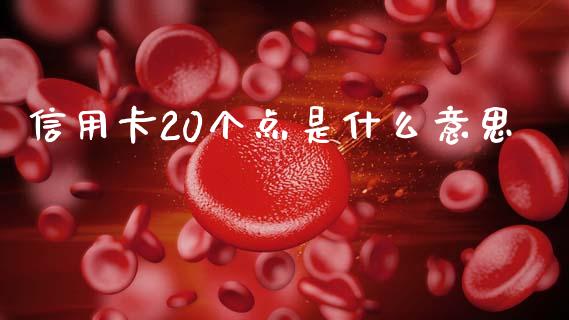 信用卡20个点是什么意思_https://wap.yjjixie.cn_港股行情_第1张