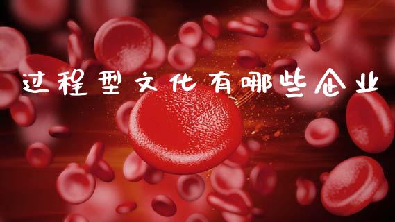 过程型文化有哪些企业_https://wap.yjjixie.cn_保险理财_第1张