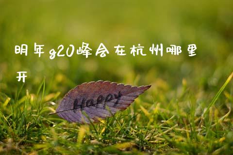 明年g20峰会在杭州哪里开_https://wap.yjjixie.cn_港股行情_第1张