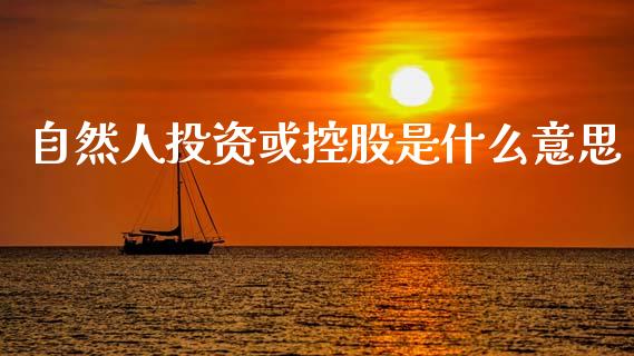 自然人投资或控股是什么意思_https://wap.yjjixie.cn_商业资讯_第1张