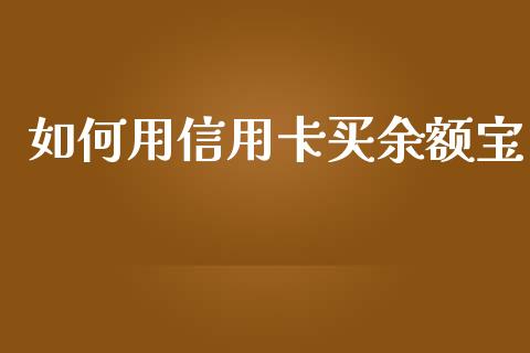 如何用信用卡买余额宝_https://wap.yjjixie.cn_保险理财_第1张