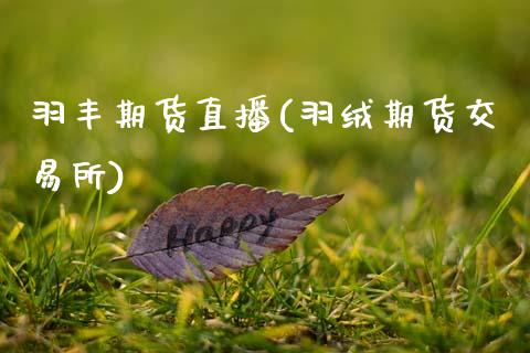 羽丰期货直播(羽绒期货交易所)_商业资讯_第1张_商业资讯_保险理财_证券市场_港股行情 羽丰期货直播(羽绒期货交易所)_https://wap.yjjixie.cn_商业资讯_第1张