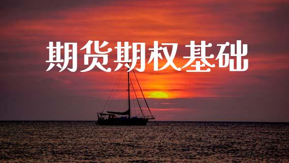 期货期权基础_https://wap.yjjixie.cn_证券市场_第1张