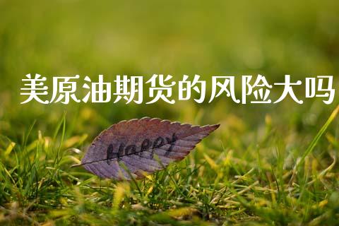 美原油期货的风险大吗_https://wap.yjjixie.cn_商业资讯_第1张