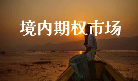 境内期权市场_https://wap.yjjixie.cn_保险理财_第1张
