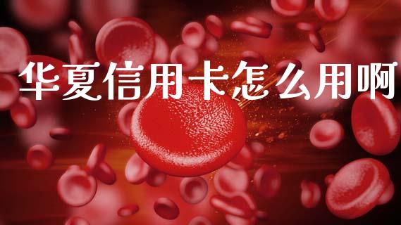 华夏信用卡怎么用啊_https://wap.yjjixie.cn_港股行情_第1张