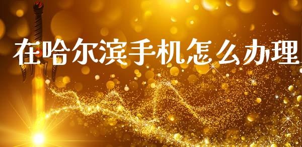 在哈尔滨手机怎么办理_https://wap.yjjixie.cn_商业资讯_第1张