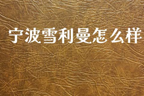宁波雪利曼怎么样_https://wap.yjjixie.cn_港股行情_第1张