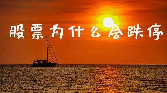 股票为什么会跌停_https://wap.yjjixie.cn_港股行情_第1张