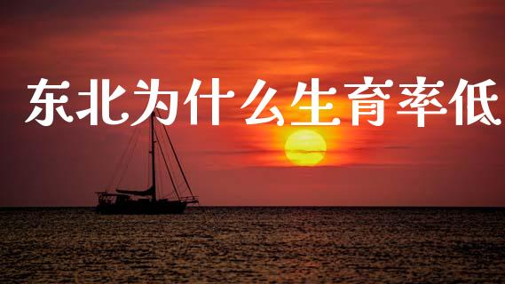 东北为什么生育率低_https://wap.yjjixie.cn_保险理财_第1张