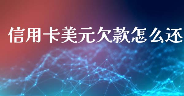 信用卡美元欠款怎么还_https://wap.yjjixie.cn_商业资讯_第1张