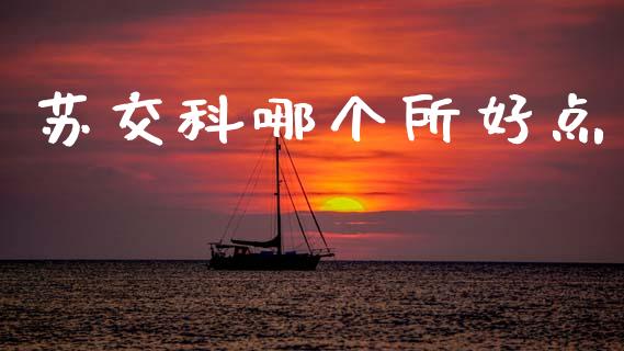 苏交科哪个所好点_https://wap.yjjixie.cn_证券市场_第1张