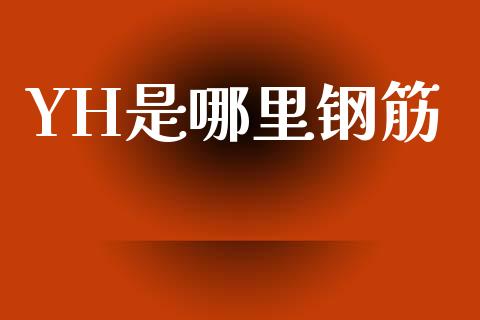 YH是哪里钢筋_https://wap.yjjixie.cn_商业资讯_第1张
