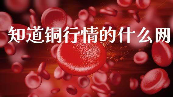 知道铜行情的什么网_保险理财_第1张_商业资讯_保险理财_证券市场_港股行情 知道铜行情的什么网_https://wap.yjjixie.cn_保险理财_第1张