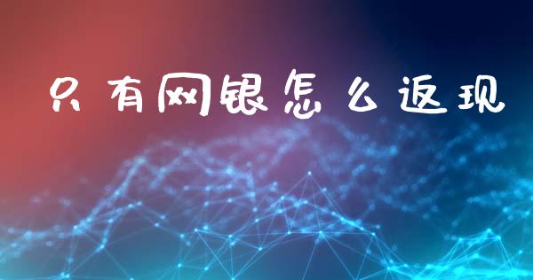 只有网银怎么返现_https://wap.yjjixie.cn_商业资讯_第1张