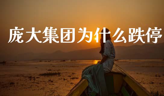 庞大集团为什么跌停_https://wap.yjjixie.cn_港股行情_第1张