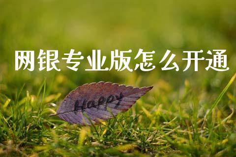 网银专业版怎么开通_https://wap.yjjixie.cn_证券市场_第1张